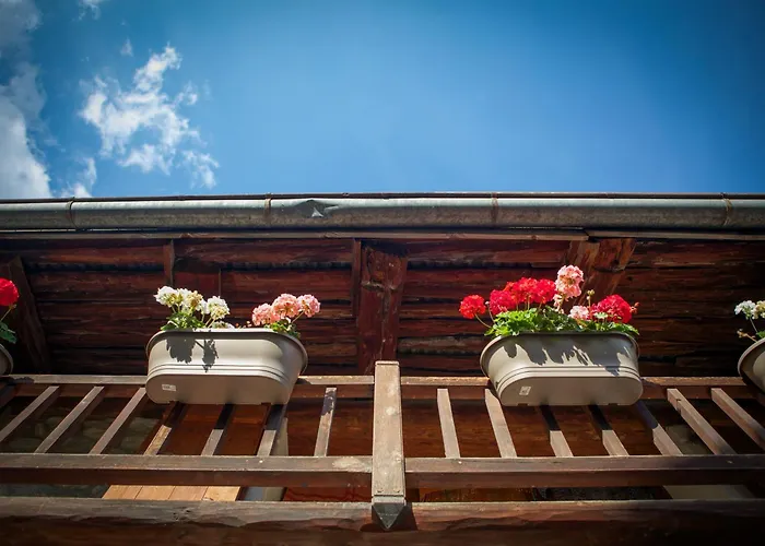 Lodge Marmotte Mountain Manor