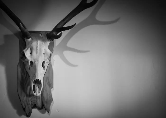 Marmotte Mountain Manor אכסניה